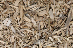 biomass boilers Tirdeunaw