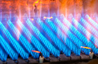 Tirdeunaw gas fired boilers